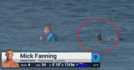 Mick Fanning Shark Attack LIVE (Full Video) 2015