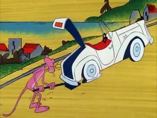 Panter Panta menja gumu