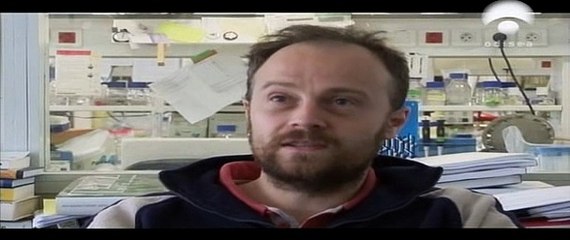 Chegar Tarde à Velhice - Odisseia