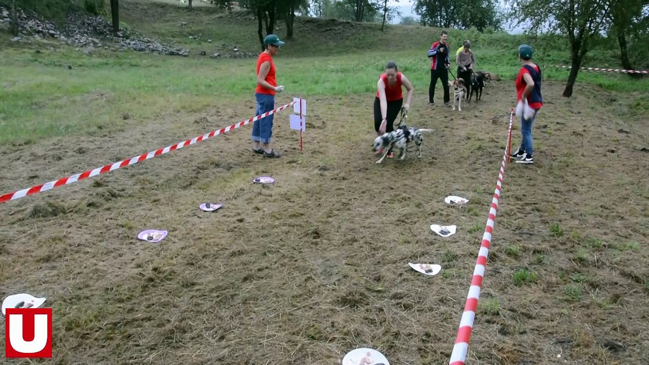 Une première réussie pour la Frappadog