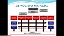 TIPOS DE ORGANIZACION- ESTRUCTURA MATRICIAL