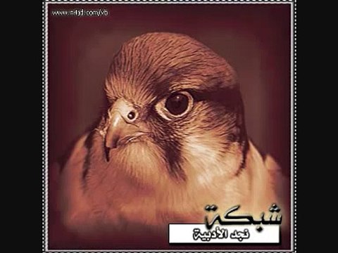 افضل شيلة سمعتها مهنا العتيبي