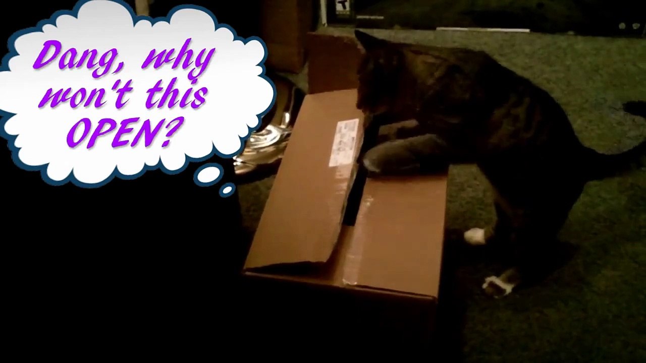 Special Delivery