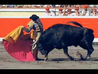 Musica Taurina - banda de música del maestro tejera