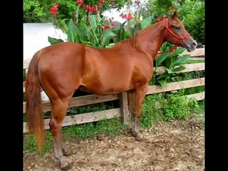 Man! I feel like a woman! (mare ;P )