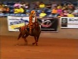 Ariat Tulsa Reining Classic - Freestyle Reining - Eye Of The Tiger