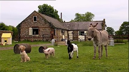 Big Barn Farm | Competition Day!