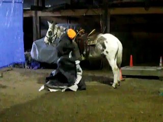 Mule for sale, Big, Beautiful, Loud colored mule for sale.AVI