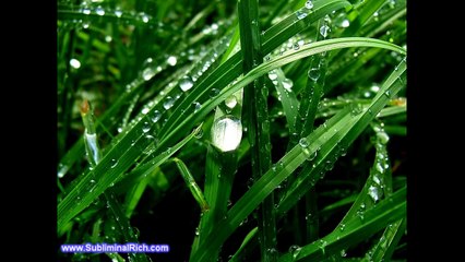 Hidrofobia Miedo al Agua - Video Audio Subliminal