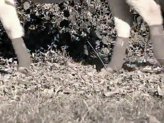 Je stiller du bist, desto mehr kannst du hören