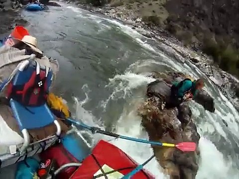 Sauvetage en POV d'une femme et son chien coincés au milieu d'une rivière