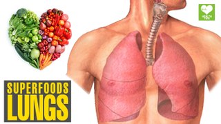 Superfoods For Lungs | Health Tips | Educational Video