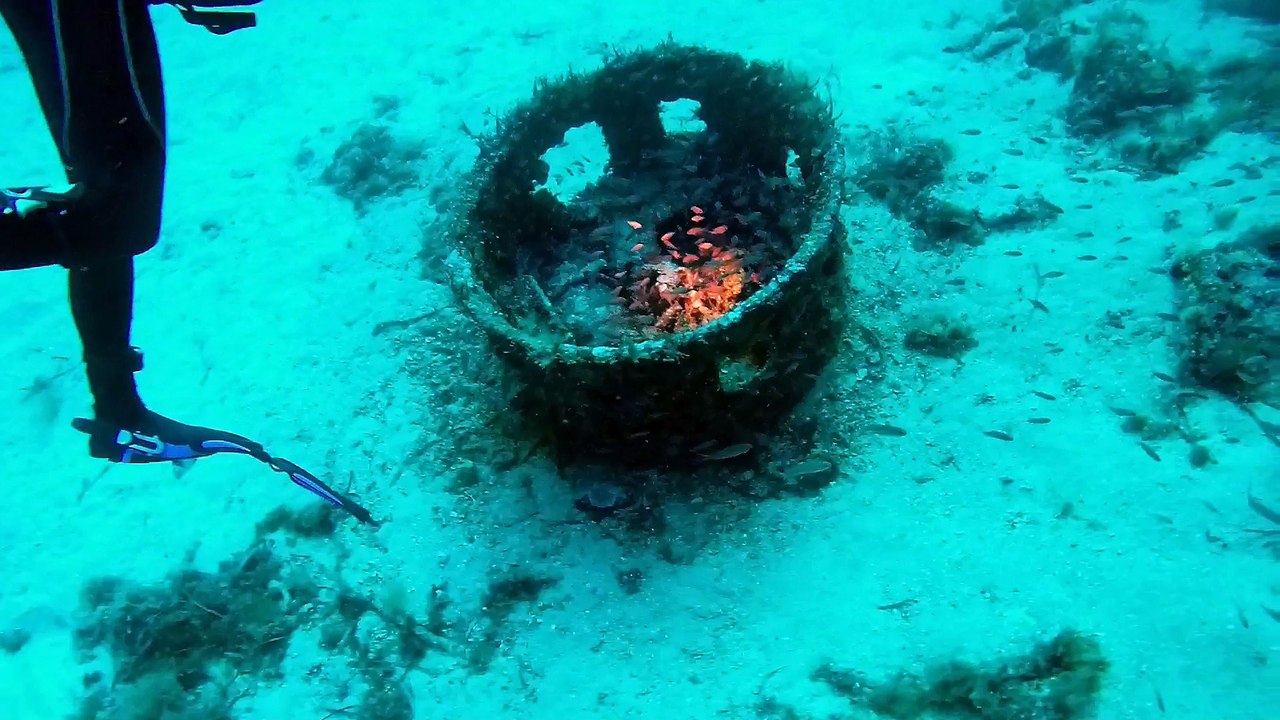 Plongée au Planier (tombant et épave du Chaouen)