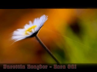 Nurettin Rençber - Kara Gül