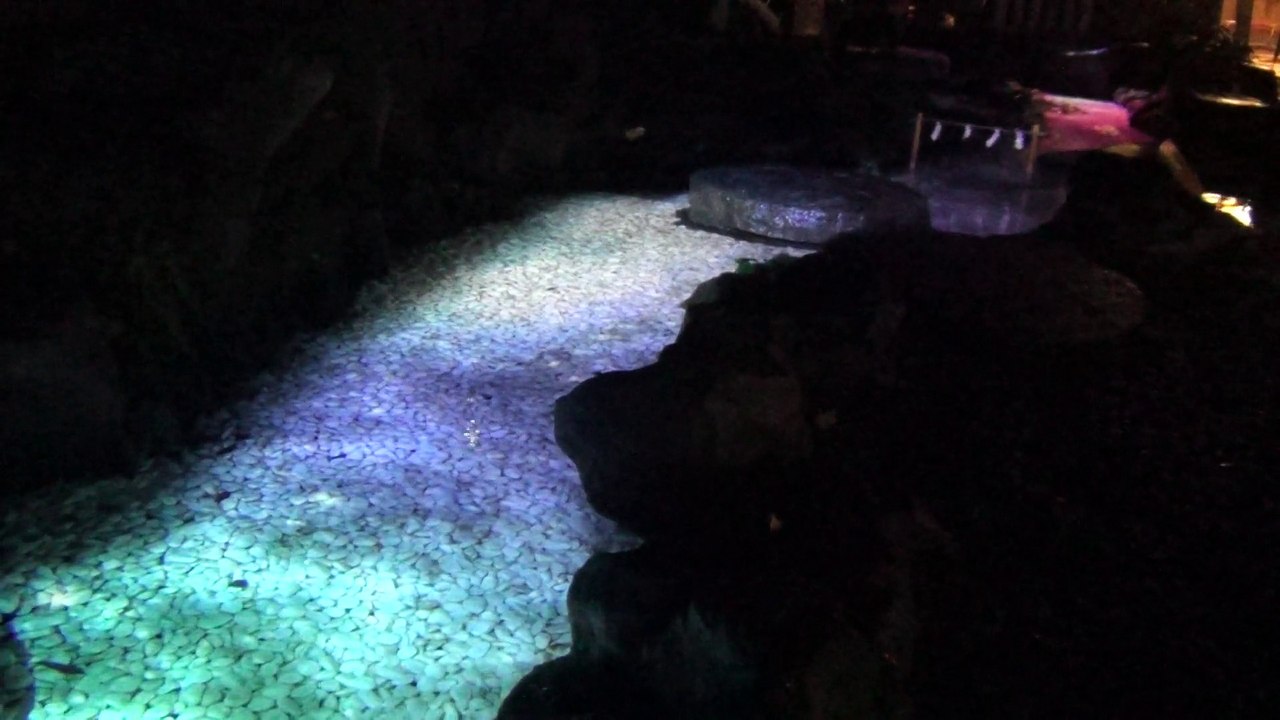 川越氷川神社　御神水映像投影「天ノ川ノ、願イゴト。～結びものがたり～」