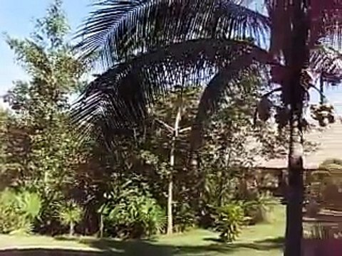 Barcelo Maya Colonial Beach - Mexico (Akumal, Riviera Maya)