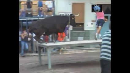 Ramaderia Jaume Domenech