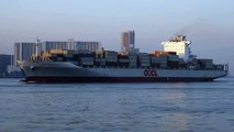 コンテナ船　OOCL AUSTRALIA (Container ship)　大阪港　Osaka,Japan 2013-1-13