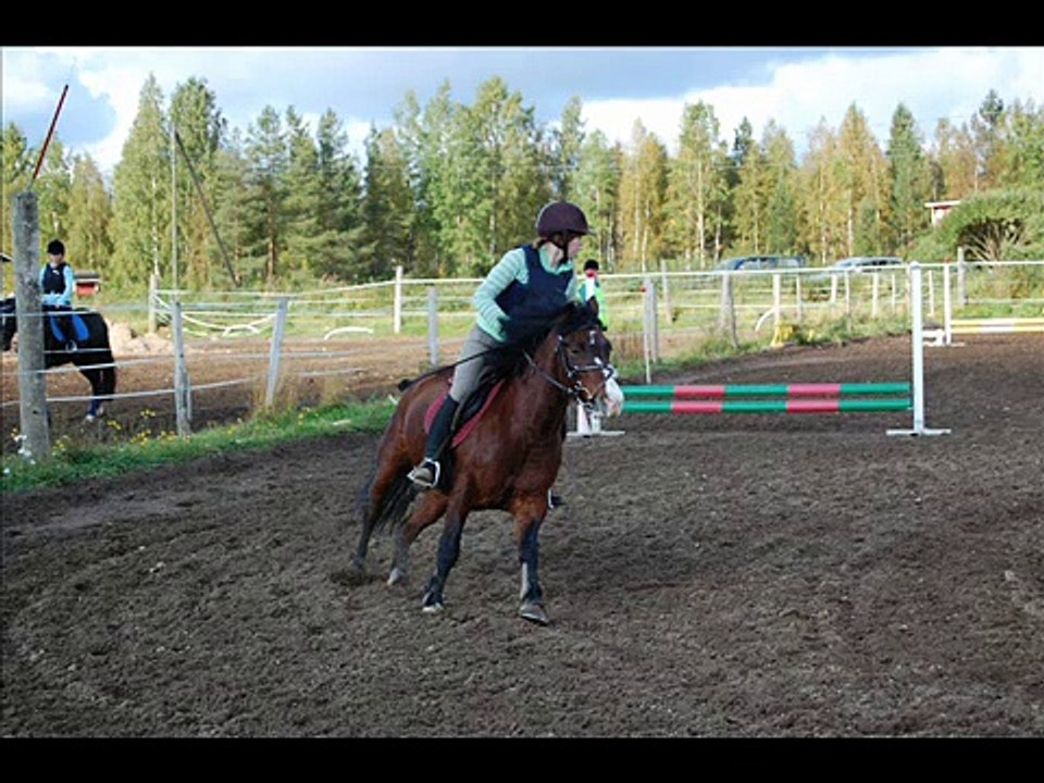 Kisat 2008