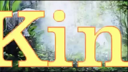 ÁGUILA CAZA UNA CABRA MONTESA - ANIMALES SALVAJES