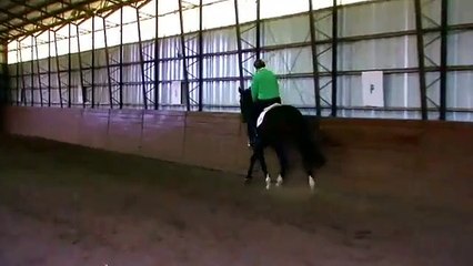 DON GIOVANNI SH - SOLD