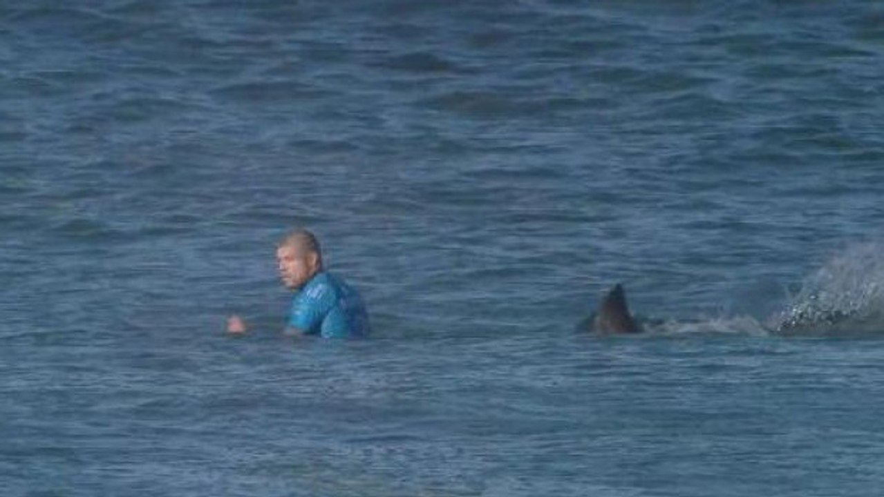Un surfeur attaqué par un requin en pleine compétition