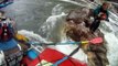 Sauvetage d'une femme et son chien coincés au milieu d'une rivière