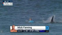 Le surfeur Mick Fanning attaqué par une requin