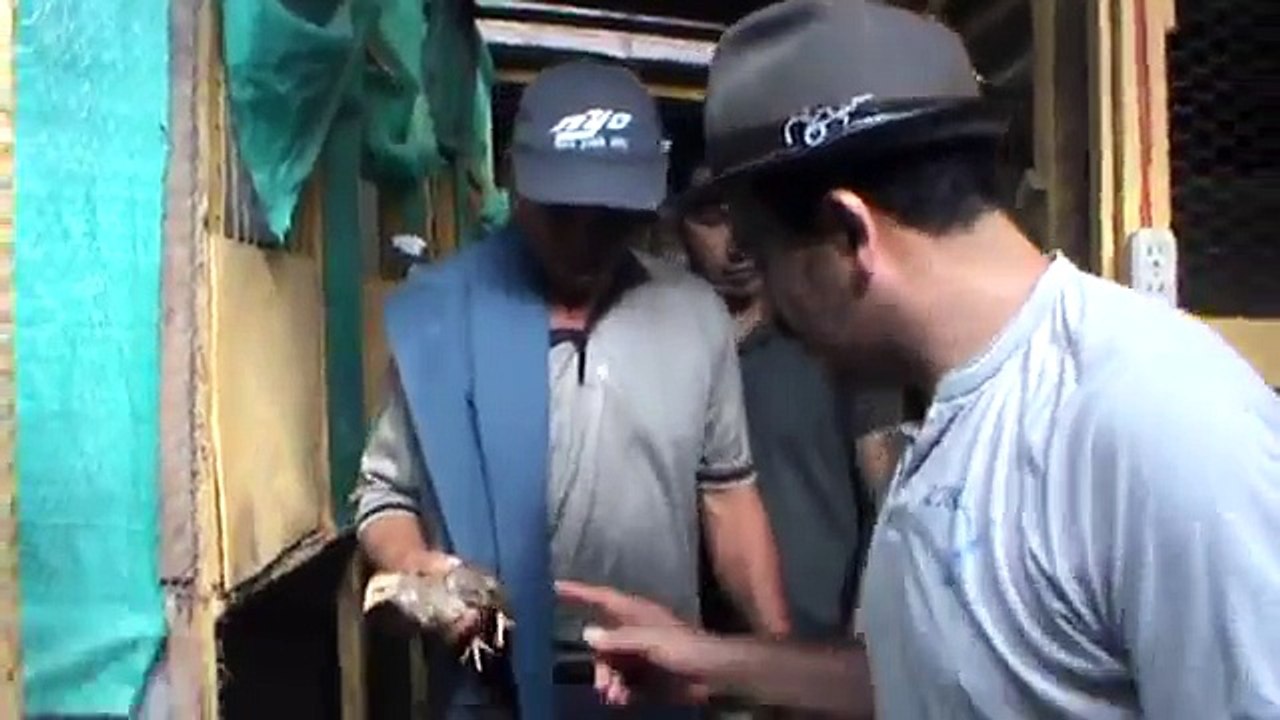 "JAMA"