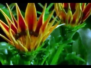 Diante do Trono 13 Aleluia  - Canção do Apocalipse    CLIPE OFICIAL