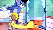 Tom and Jerry Cartoon   Professor Tom 2015 - كرتون توم وجيرى  - كرتون توم وجيري الجديد