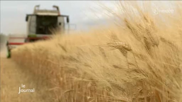 Agriculture : La saison des moissons a commencé (Vendée)