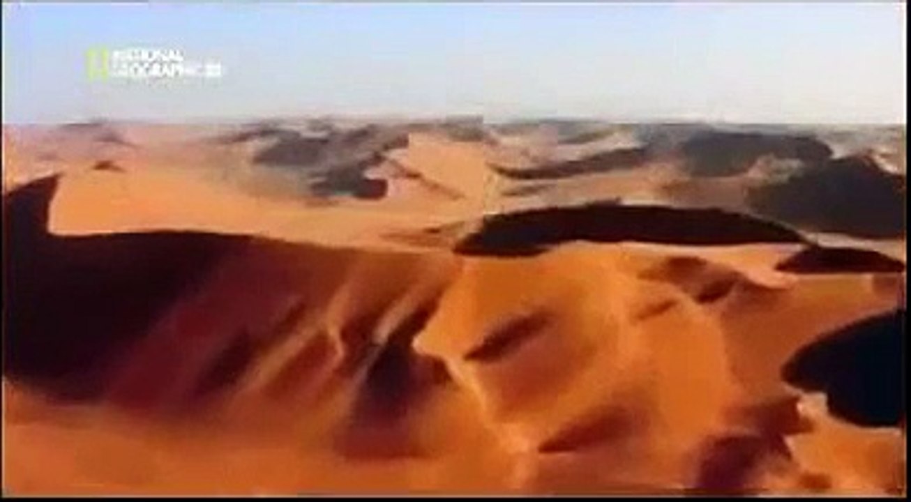 WORLD'S MOST DANGEROUS ANIMALS FROM DESERT TO GRASSLANDS Animal Wildlife Nature documentar