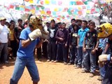 peleas de tigres CHILAPA DE ALVAREZ (ACATLAN)
