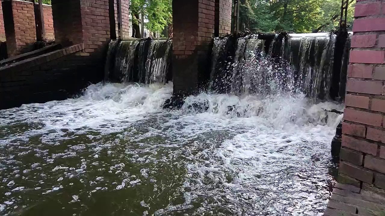 JOYbNięci nie leją wody