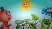 Incy Wincy Spider Nursery Rhyme With Lyrics Cartoon Animation Rhymes & Songs for Children