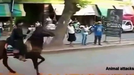 Brutal Animal Attacks on human