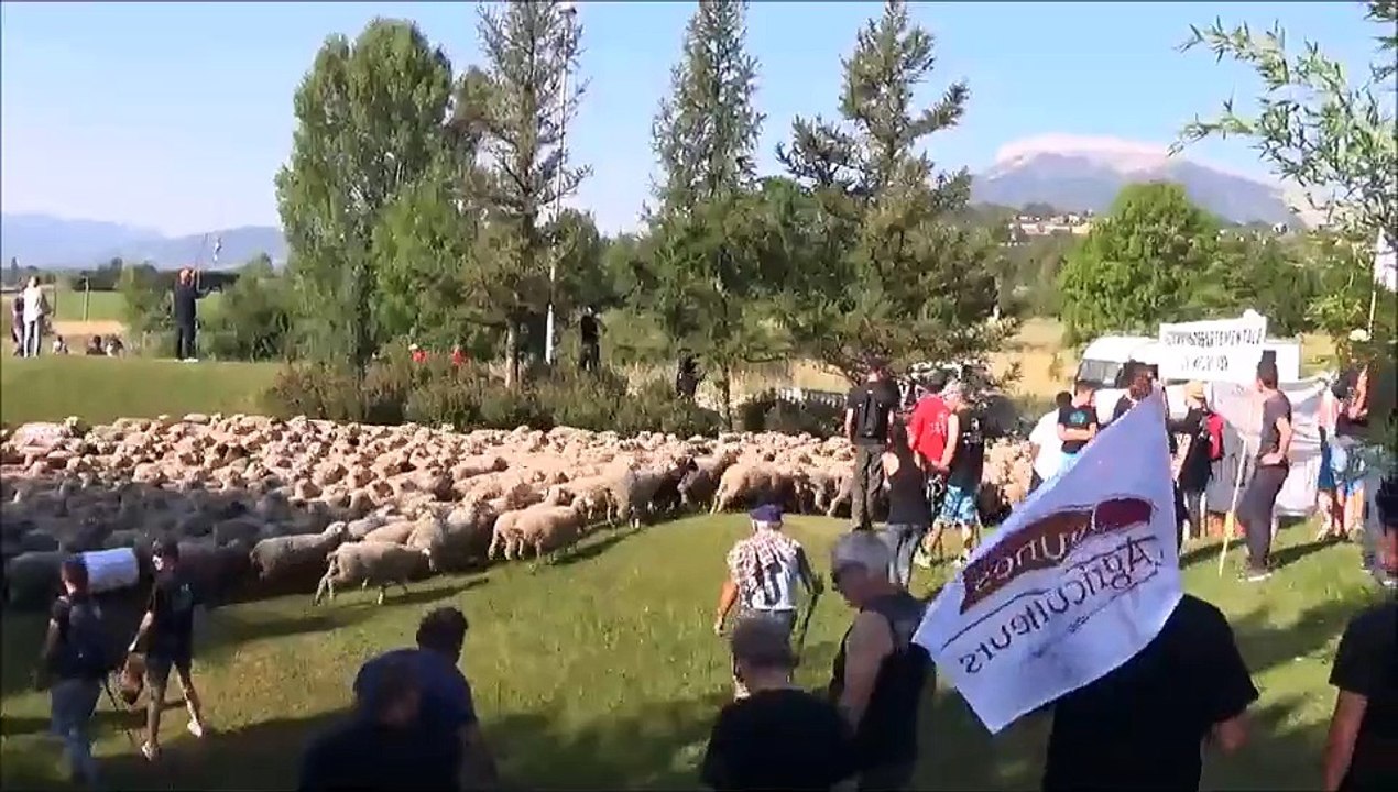 Gap : manifestation contre le loup