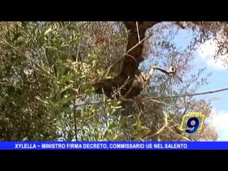 XYLELLA | Ministro firma decreto, commissario Ue nel Salento