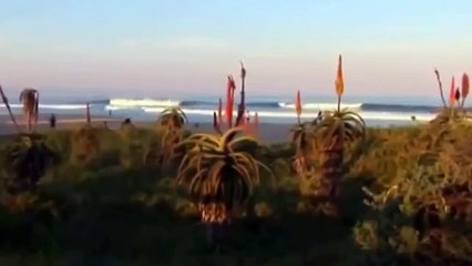 GREAT WHITE SHARK ATTACKS Caught On Tape - Wildlife Documentary - A predator or just misunderstood?