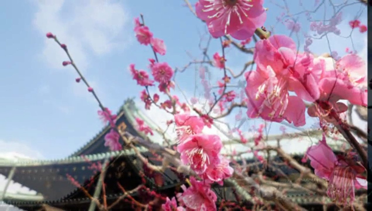 ここは親里 (BGM)