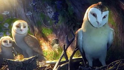As "Owls of Ga'hoole" hits theaters, owls in read 3D abound in Chicago