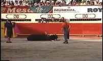 Tortura de toros en Medellín 2008