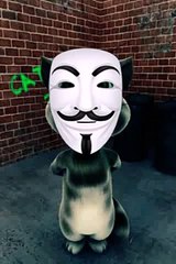 Tom terrasser [ Gradur terrasser ]