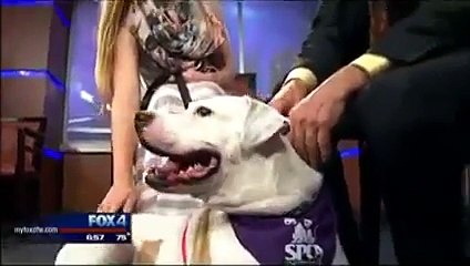 Willie visits Good Day FOX 4
