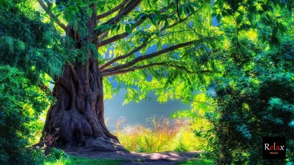 1- Turkey Relax Music  ♥  موسيقى تركية رائعة