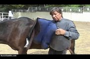 Colin Dangaard talks About Stuffed Pannel Aussie Saddles