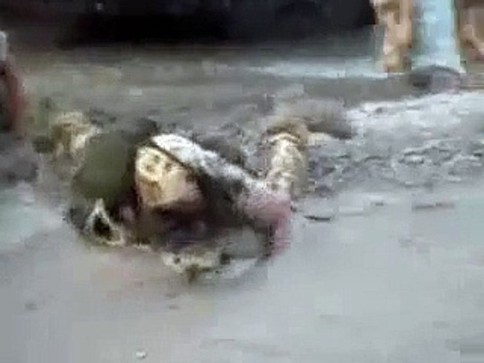 Why noone is afraid of the French Army.
