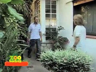 Leonardo entrenado un Border Collie en TELEFE