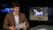 North Korea Announces Discovery of Unicorns